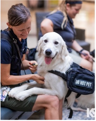 Gabriel AHEPA, Power District 4, Service Dog for Warriors